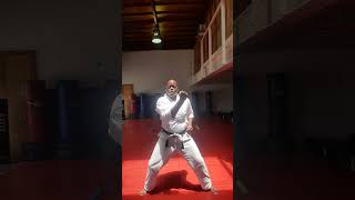 Karate Basics The Blocking Set [upl. by Kurzawa]