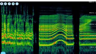 Spectrogram tutorial [upl. by Burdelle]