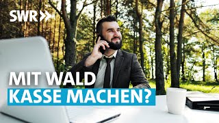 Wie viel ist ein Hektar Wald in Wirklichkeit wert  SWR Wissen [upl. by Sanoy]