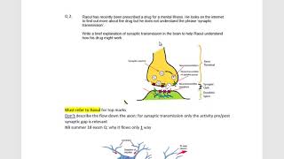 A Level AQA Biopsychology 3 synaptic transmission [upl. by Anaud]