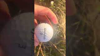 Golf ball hunting [upl. by Nolos]