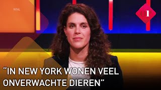 Karlijn van Houwelingen over het dierenleven in New York  Op1 [upl. by Ahselyt]