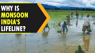 Why is Indias monsoon season so crucial  WION Originals [upl. by Bartholomew]