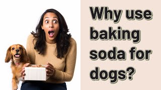 Why use baking soda for dogs [upl. by Gelasius]