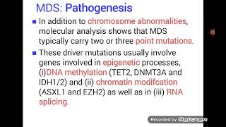 Myelodysplastic Syndrome  MDS [upl. by Ahsiekyt446]