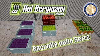 Farming Simulator 2017 04 Hof Bergmann Raccolta nelle serre by Greg79 [upl. by Elijah]