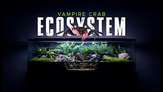 🦀 BUILDING A HUGE VAMPIRE CRAB ECOSYSTEM PALUDARIUM STEP BY STEP [upl. by Otrebla]