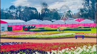 Floriade 2023 The Biggest And Best Garden Festival in Australia [upl. by Yrannav]