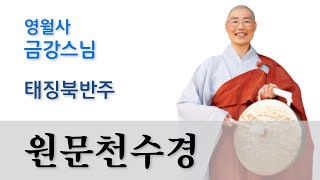 원문천수경  영월사 금강스님 남원 영월사 배경 [upl. by Hjerpe]