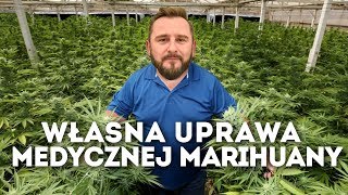 MARIHUANA medyczna  jak zacząć polskie uprawy i dlaczego są tak ważne [upl. by Nywde492]