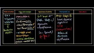 Macrolides antibiotics [upl. by Rehsu280]