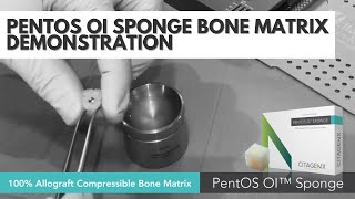 100 Allograft Bone Matrix Compressible PentOS OI Sponge  Citagenix [upl. by Ahsratan]