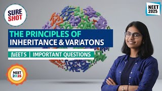 The Principles of Inheritance and Variations Class 12  Genetics NEET Important Question  NEET 2025 [upl. by Ailimac]