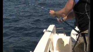 2011 Jigging Master PE8 reelakabatuna rod vs 220lb bluefin tuna [upl. by Norval676]