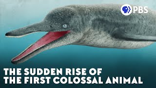 The Sudden Rise of the First Colossal Animal [upl. by Ilaw384]