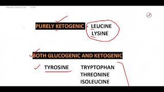 AMINO ACIDS GLUCOGENIC AND KETOGENIC ACIDIC AND BASIC [upl. by Sum]