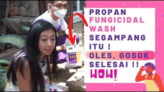 Bersihkan lumut dengan Propan Fungicidal Wash [upl. by Nnaeiluj954]