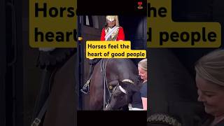 Horses feel the heart of good people kingsguard royalguards mercy uk [upl. by Katee]