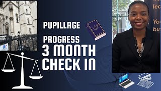 Pupillage Progress 3Month CheckIn [upl. by Errol59]