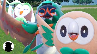 【Pokemon Picnic】RowletampDecidueyeampDartrixcute evolution [upl. by Caughey]