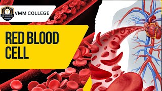 Red Blood Cells anemia Thalassemia transfusion and SickleCell [upl. by Diley]