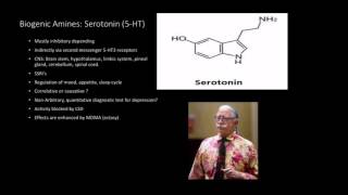 Neurotransmitters Biogenic Amines [upl. by Floria]