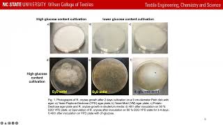 Title Biosynthesis and characterization of deuterated microbial chitosan [upl. by Leasim]