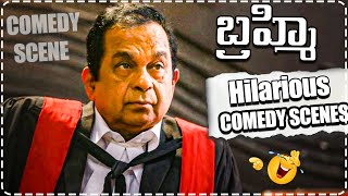 Brahmanandam SuperHit Comedy Scenes  Latest Comedy Scenes  Telugu Comedy Club [upl. by Arrik540]