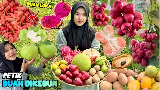 Panen buahbuahan dikebun  Bikin rujak buah segar [upl. by Butte]