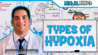 Respiratory  Types of Hypoxia Hypoxemic  Anemic  Stagnant  Histotoxic [upl. by Anegroeg131]