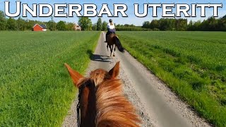 UTERITT MED GOPRO  MÅLAR OM PADDOCKEN  stallvlogg [upl. by Arni261]