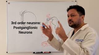 Horners Syndrome 1  Neuroanatomy [upl. by Brost]