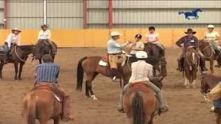 Buck Brannaman Horse Rush TV Australia Part 2 [upl. by Callas]