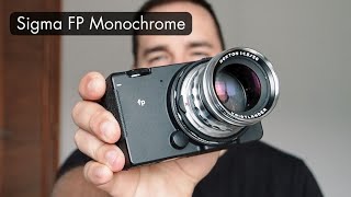 Sigma FP Monochrome Review [upl. by Hakeem]