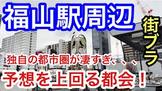 【予想を上回る都会】広島県福山市駅周辺を散策！広島市とは別の独自の都市圏での栄え方、観光地とも素晴しかった！ [upl. by Buff]