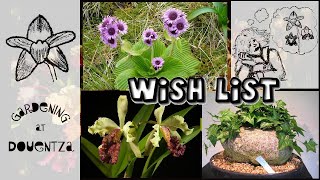 10 Wish List Plants  from Caudex to the Exceedingly Rare [upl. by Kurman]