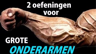 GESPIERDE ONDERARMEN  2 Beste Oefeningen [upl. by Ney]