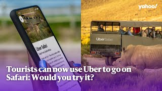 Tourists can now use Uber to go on Safari Would you try it  Yahoo Australia [upl. by Enidualc705]