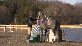 Part 1 of the Retired Race Horse Thoroughbred Training Project with Eric Dierks [upl. by Llerej50]