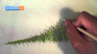 How to Draw Grass  Colored Pencils [upl. by Mcmillan]