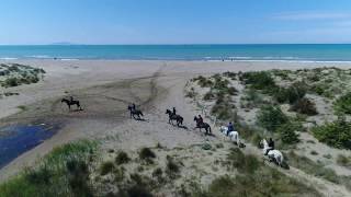 Trekking a cavallo in riva al mare  maremma toscana Castiglione della Pescaia [upl. by Addiego]