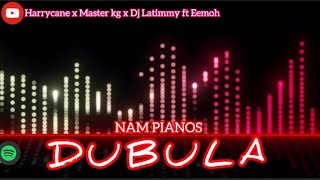 DubulaNyusa NyusaHarrycane x Master Kg amp Dj Latimmy ft Eemoh [upl. by Cassaundra]