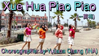 XUE HUA PIAO PIAO  一剪梅  Remix  Line Dance [upl. by Oirtemed21]