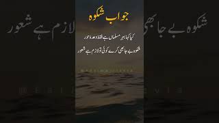 Allama Iqbal Poetry  Shikwa Jawab e Shikwa allamaiqbalpoetry islamicstatus iqbalpoetry status [upl. by Entruoc]