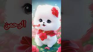 Asmaul husnaallah ke naamallah namescute cat cute cat asmaul husna 99 names Allah billi naat [upl. by Aelanna227]