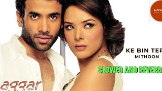 KE BIN TERE JEENA NAHI  Slowed and Reverb  Aggar  LoFi StaTion  Udita Goswami [upl. by Navoj]