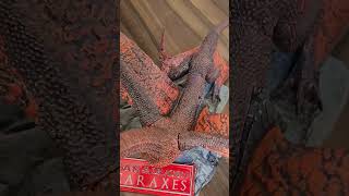 Caraxes Dragon from the House of the Dragon series produced by Mcfarlane Toys [upl. by Acsisnarf]