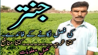 Jantar Farming pakistan [upl. by Marty10]