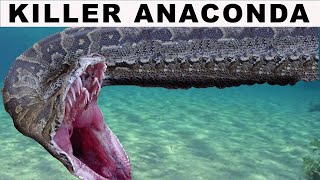 Killer Green Anaconda [upl. by Oner]