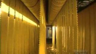 Making of pasta made in Factories [upl. by Annoved]